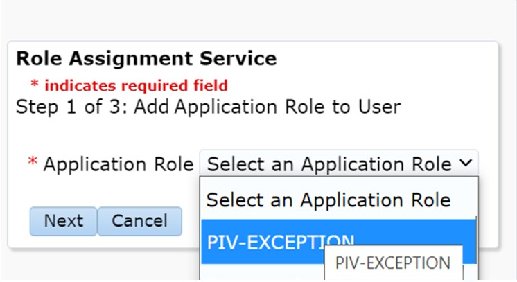Add Application Role selection