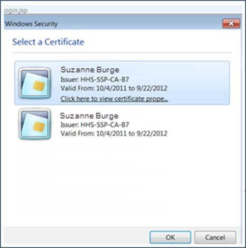 Windows Security - Select a Certificate